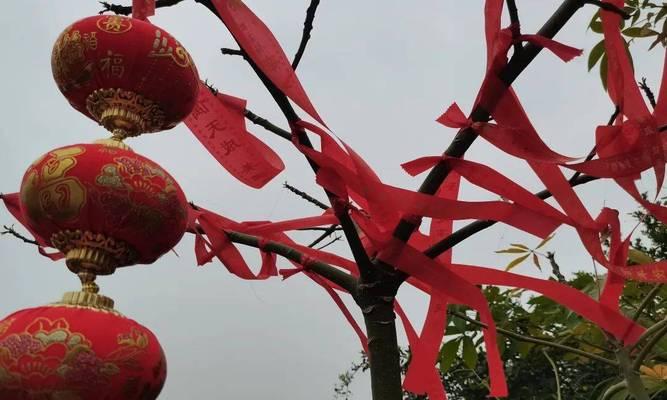 红色花的祈福寓意是什么？哪种红色花代表祈福？