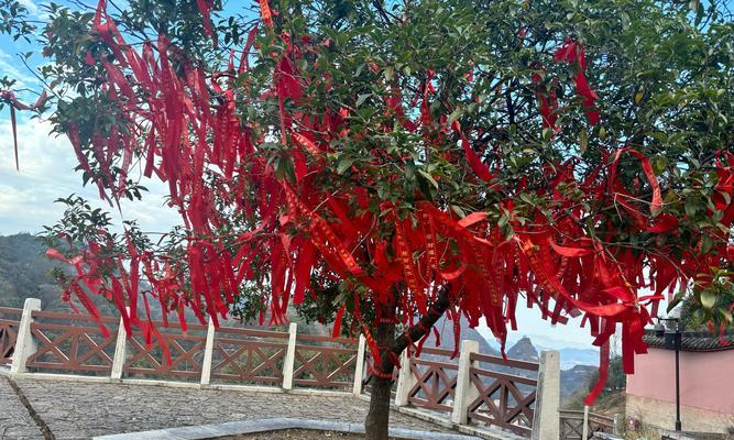 红色花的祈福寓意是什么？哪种红色花代表祈福？