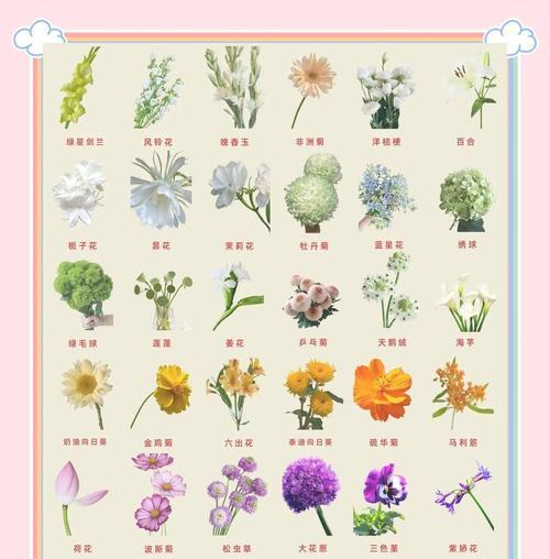 哪种花象征着童年快乐？它的花语有何寓意？