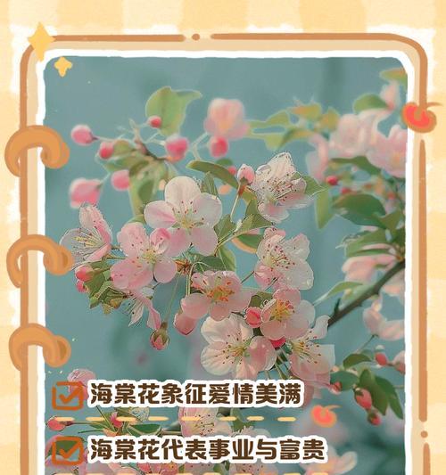 蓝色与粉色花朵各自代表什么花语？