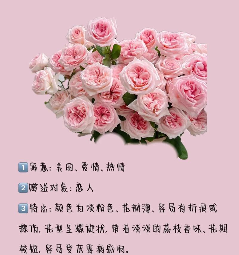 蓝色与粉色花朵各自代表什么花语？