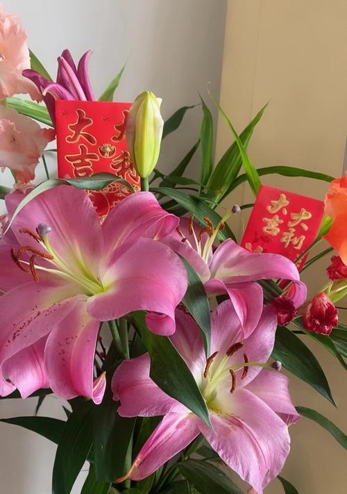 灰色与粉色百合花的寓意是什么？