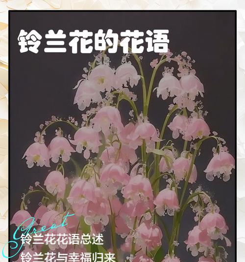 白铃兰象征爱情的花有哪些特点？