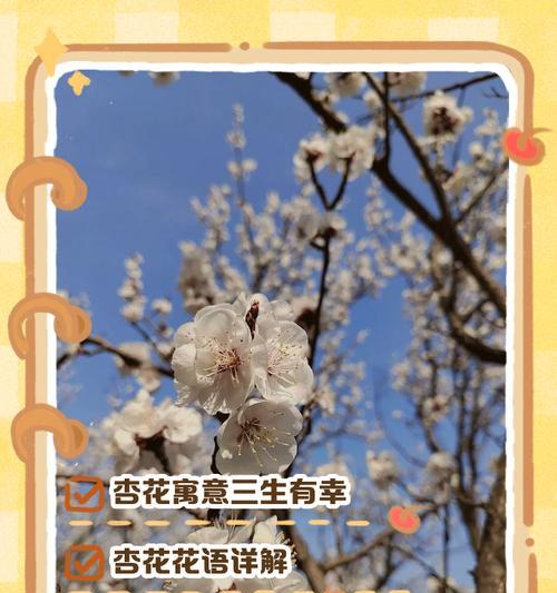 如何用简短的花语表达浪漫？浪漫的花语有哪些？