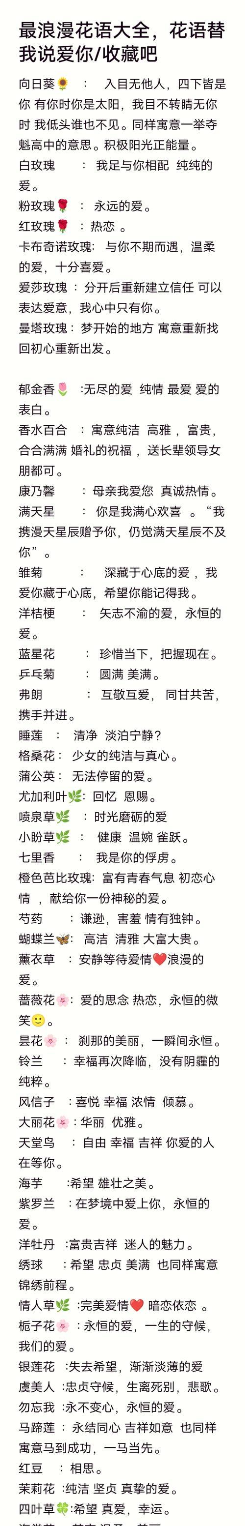 花语和花落如何表达浪漫？