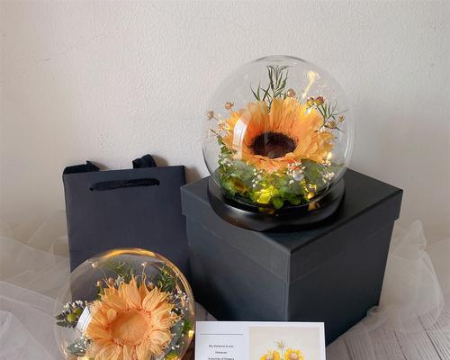 情人节太阳花有何意义？太阳花在情人节代表什么？
