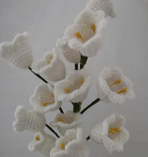 冬奥手捧花的花语是什么？冬奥花束寓意有哪些？