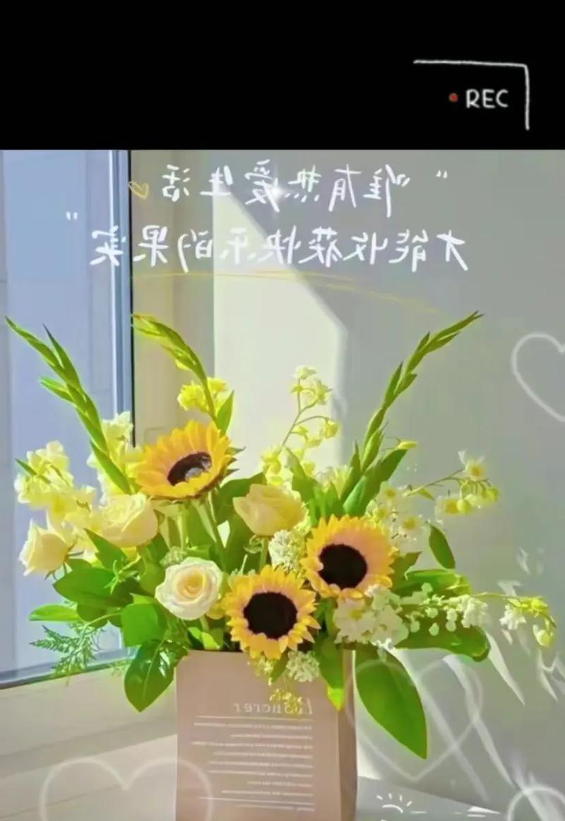 阳光和幸福在花语中代表什么？