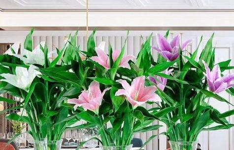 白色花搭配哪种花寓意最佳？白色花的搭配技巧是什么？
