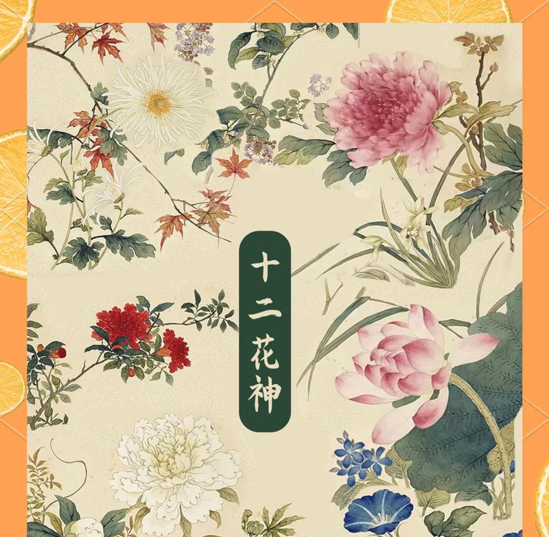 朝花节有哪些历史意义？