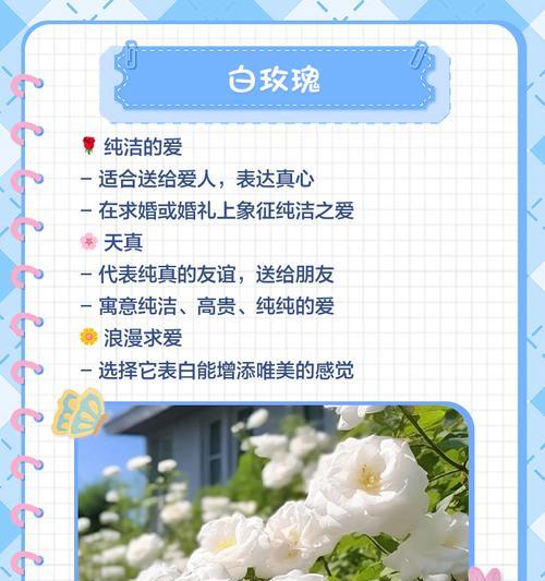 手捧玫瑰花代表什么？花语有哪些含义？