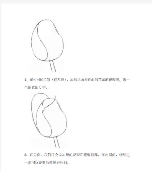哪种花的素描象征着好运？