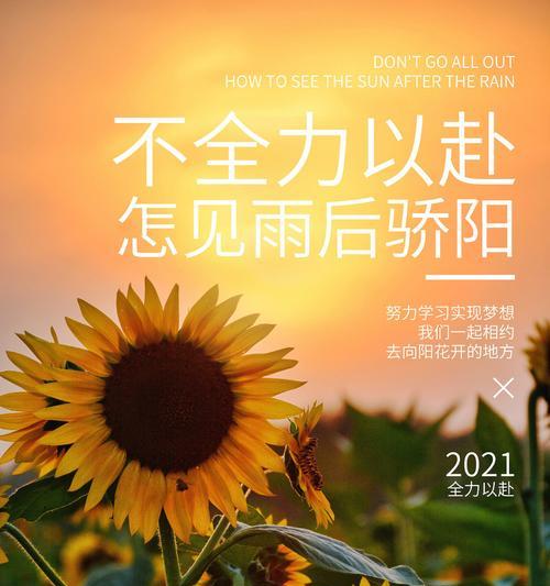 向阳花的文化含义是什么？
