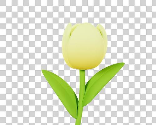 米黄色花的象征意义是什么？