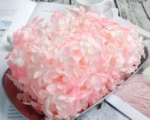 彩色永生花有什么寓意？彩色永生花的含义是什么？