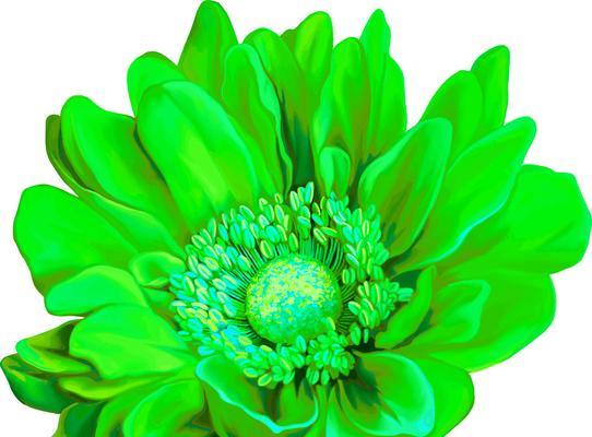 绿色花床罩的寓意是什么？它象征着什么？