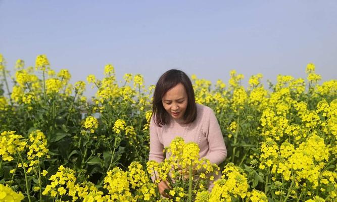 寻花觅春这个成语背后有什么含义？
