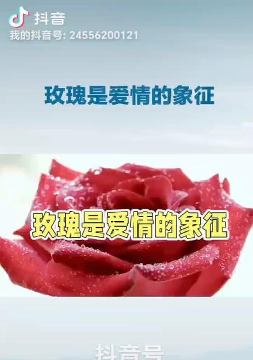 35朵玫瑰代表什么爱情意义？