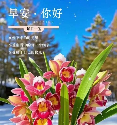 象征祝福高贵的花有哪些？高贵花卉的花语是什么？