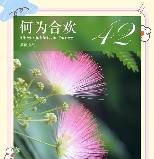 每个季节的花有什么寓意？不同季节的花语有哪些？