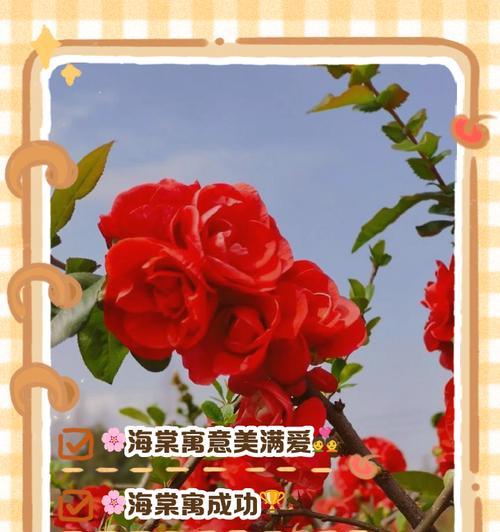 哪种花象征美满的爱情？