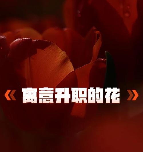 什么成语形容花寓意事业步步高升？