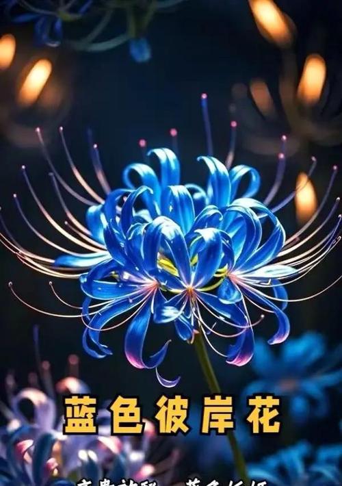 彼岸花颜色有哪些寓意？不同颜色彼岸花的象征意义是什么？