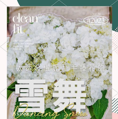 花束绣球手捧花代表什么？它的寓意是什么？