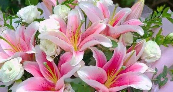 国庆节适合送哪种花？