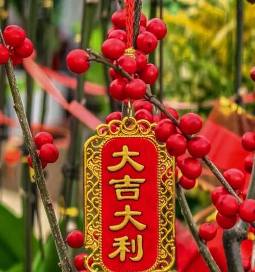 春节期间有哪些寓意吉祥的花？