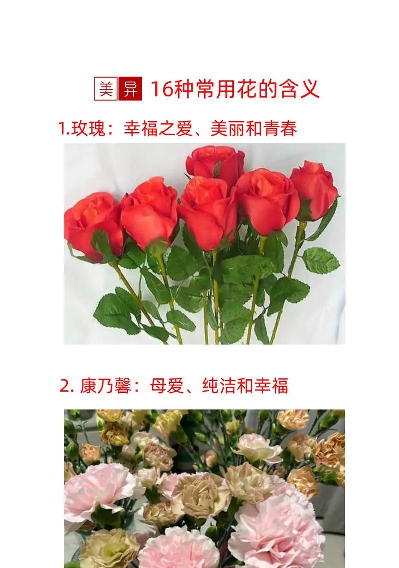 哪种花寓意小朋友健康成长？健康成长的花语是什么？