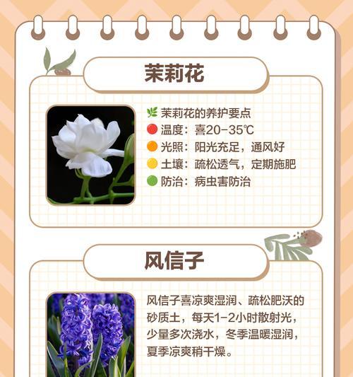 哪种花寓意小朋友健康成长？健康成长的花语是什么？