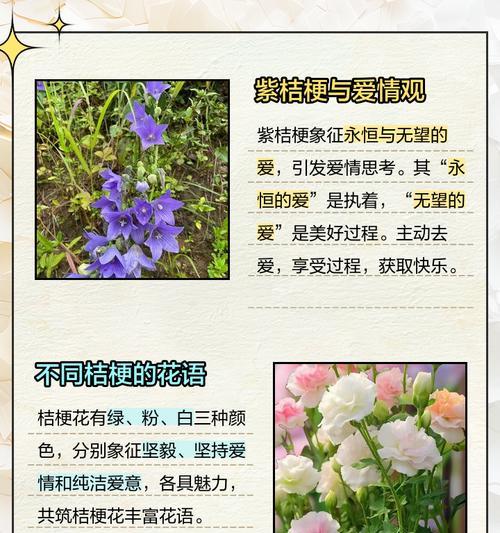 紫白色花的意义？在花艺设计中扮演什么角色？