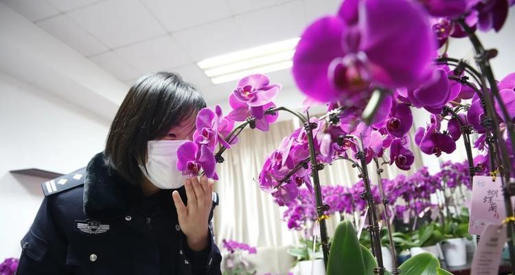 警察节送什么花表达敬意？