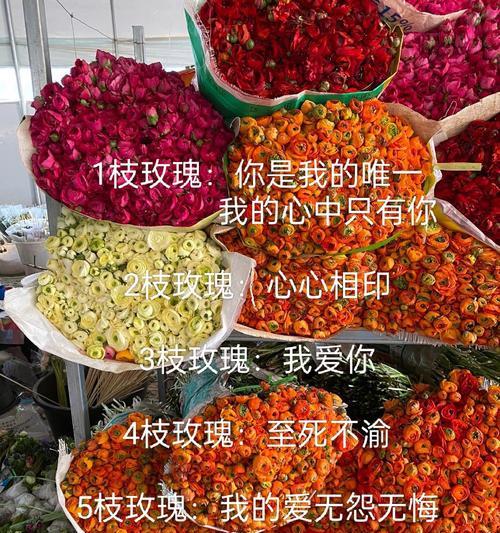 各色玫瑰花分别有什么寓意？