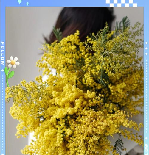 丽人节应该送什么花？丽人节花卉的花语是什么？
