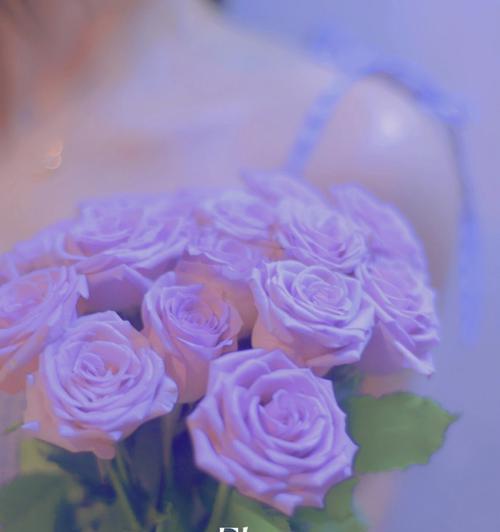 紫色系的花有哪些寓意？紫色系的花有哪些特点？