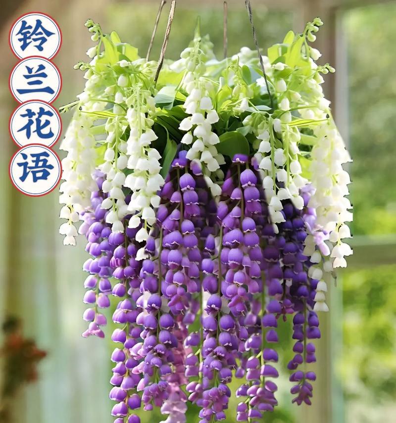 哪种花象征幸福生活？幸福生活的花语有哪些？
