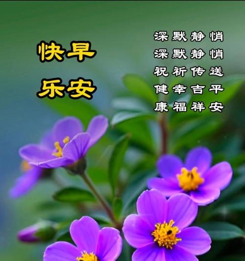 哪些花卉寓意着健康和平安？