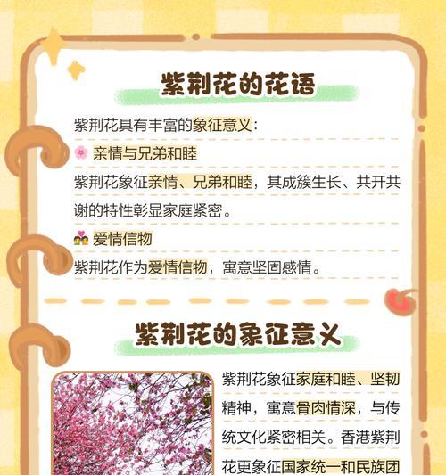 白色紫荆花代表什么？它的意义是什么？
