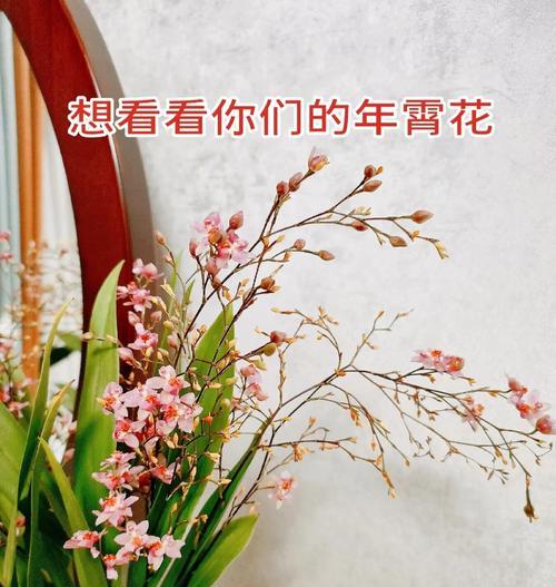 春节插年花有何意义？如何正确插放春节年花？