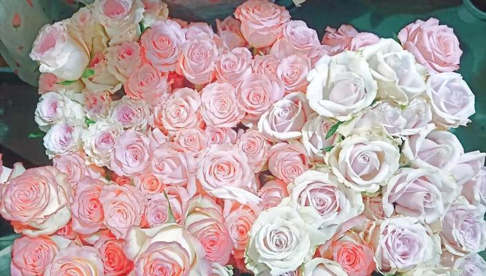 如何解析浪漫花语？每种花语代表什么情感？