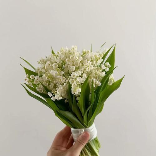铃兰大手捧花代表什么？
