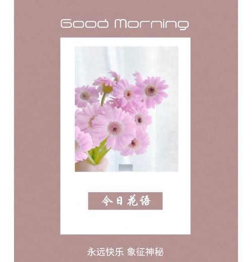 月色尚浅的花语有何含义？这一花语背后的故事是什么？
