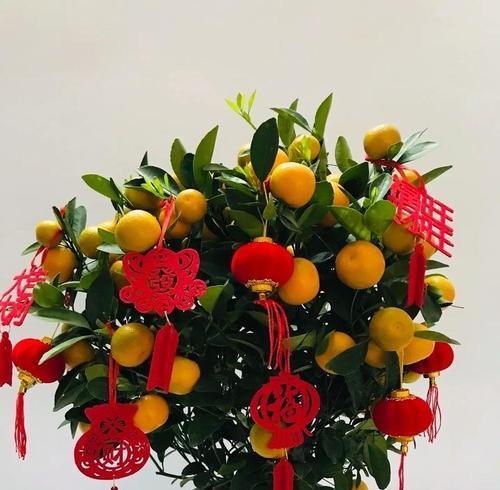 哪种花寓意平安吉祥？平安花的寓意是什么？