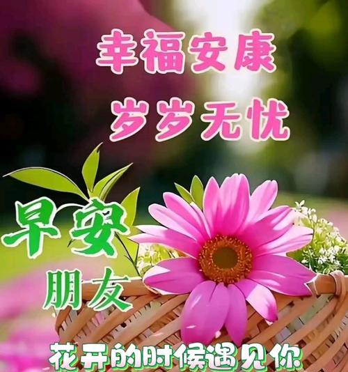 哪种花寓意着祝你幸福？