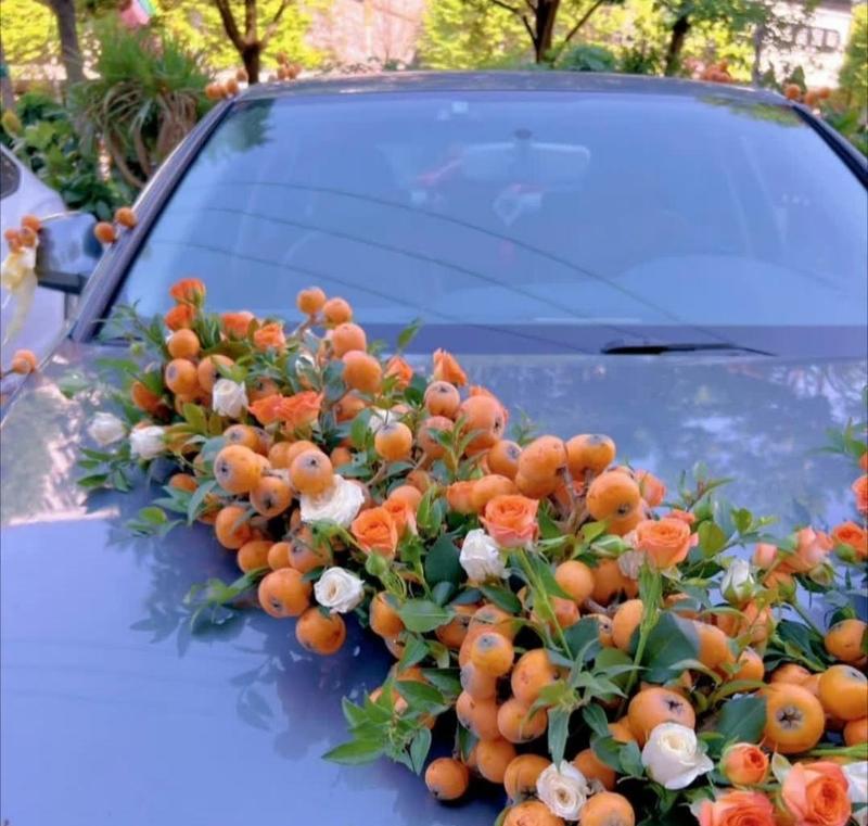 蓝色婚车花代表什么？它的寓意是什么？