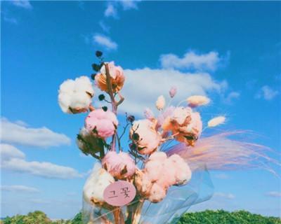 走运吉祥的花头像有哪些？花的头像象征什么？