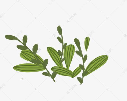 八节齐花四进果有何深层含义？