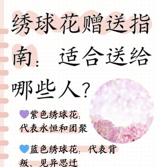 橘色绣球花的寓意是什么？橘色绣球花的花语有哪些？